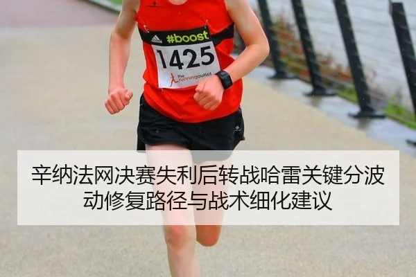 xin-na-fa-wang-jue-sai-shi-li-hou-zhuan-zhan-ha-lei-guan-jian-fen-bo-dong-xiu-fu-lu-jing-yu-zhan-shu-xi-hua-jian-yi-2-117.jpg