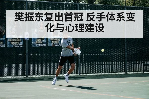 樊振东复出首冠 反手体系变化与心理建设